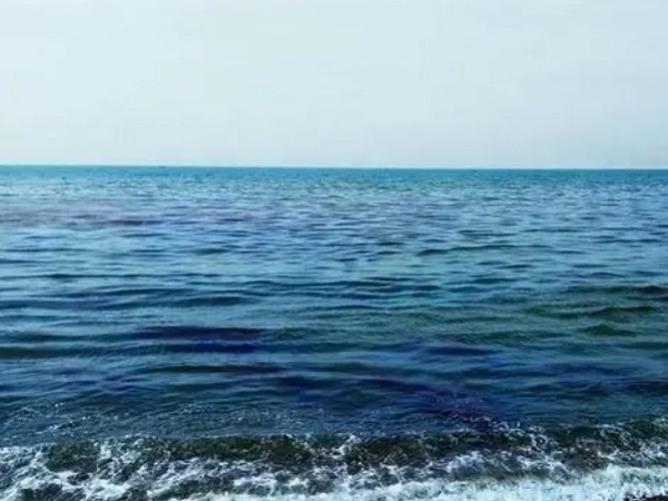 日本核廢水將排海-影響何以估量？